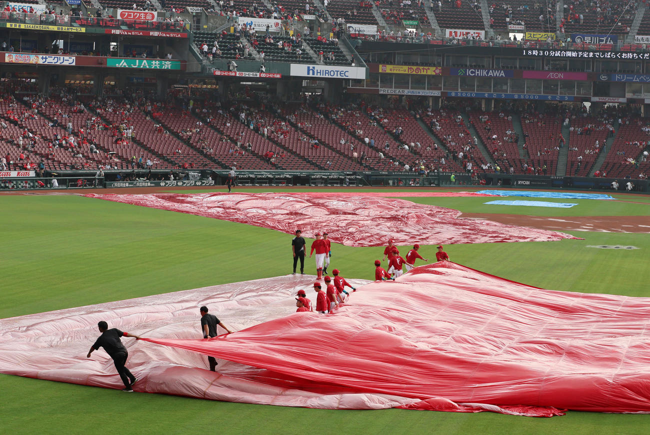 広島対阪神　天候が回復しグラウンドのシートをはずすマツダスタジアムのグラウンドキーパー（撮影・加藤哉）