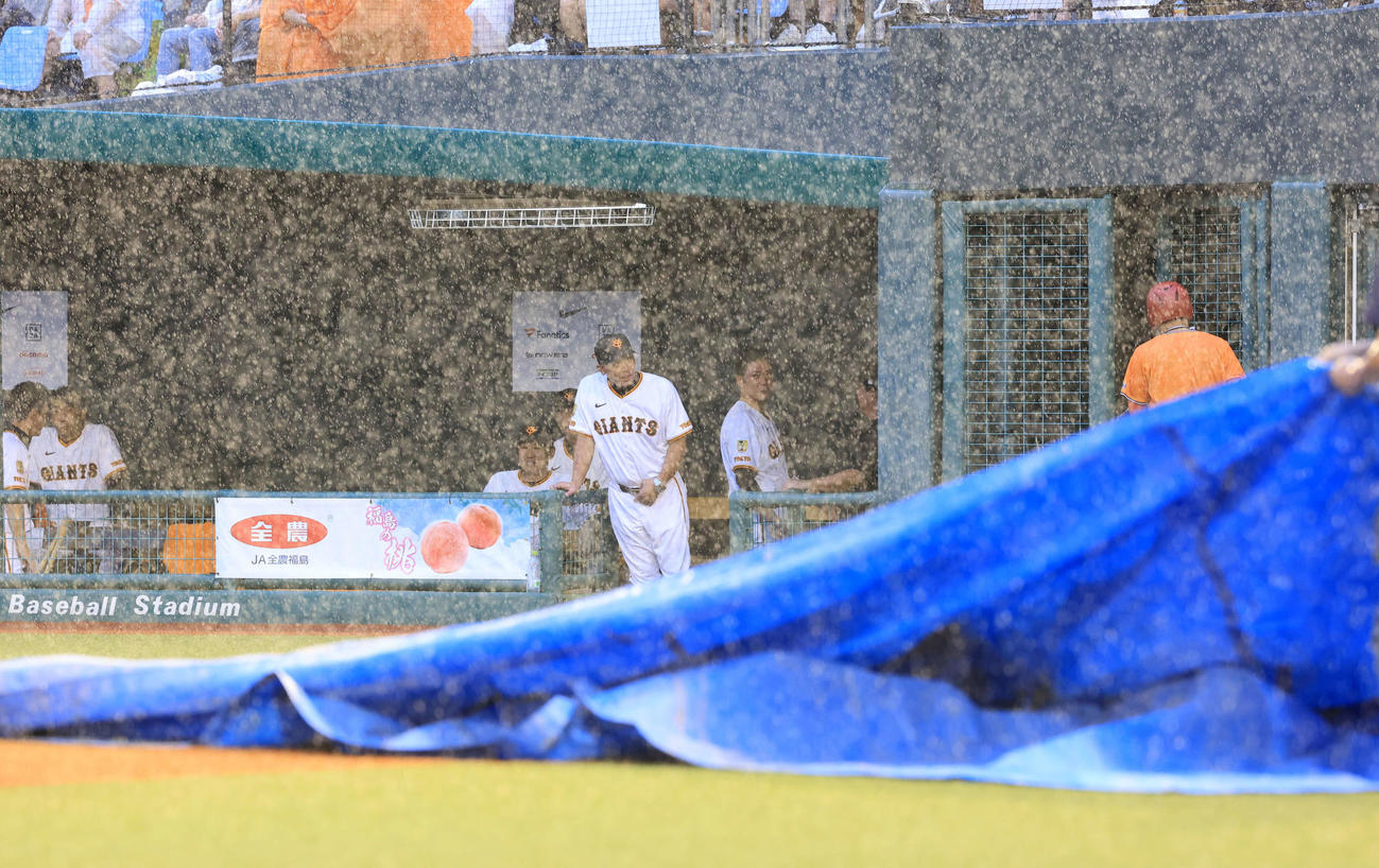 巨人対中日　突然の豪雨でブルーシートが敷かれるのを見つめる巨人阿部監督（中央）（撮影・浅見桂子）