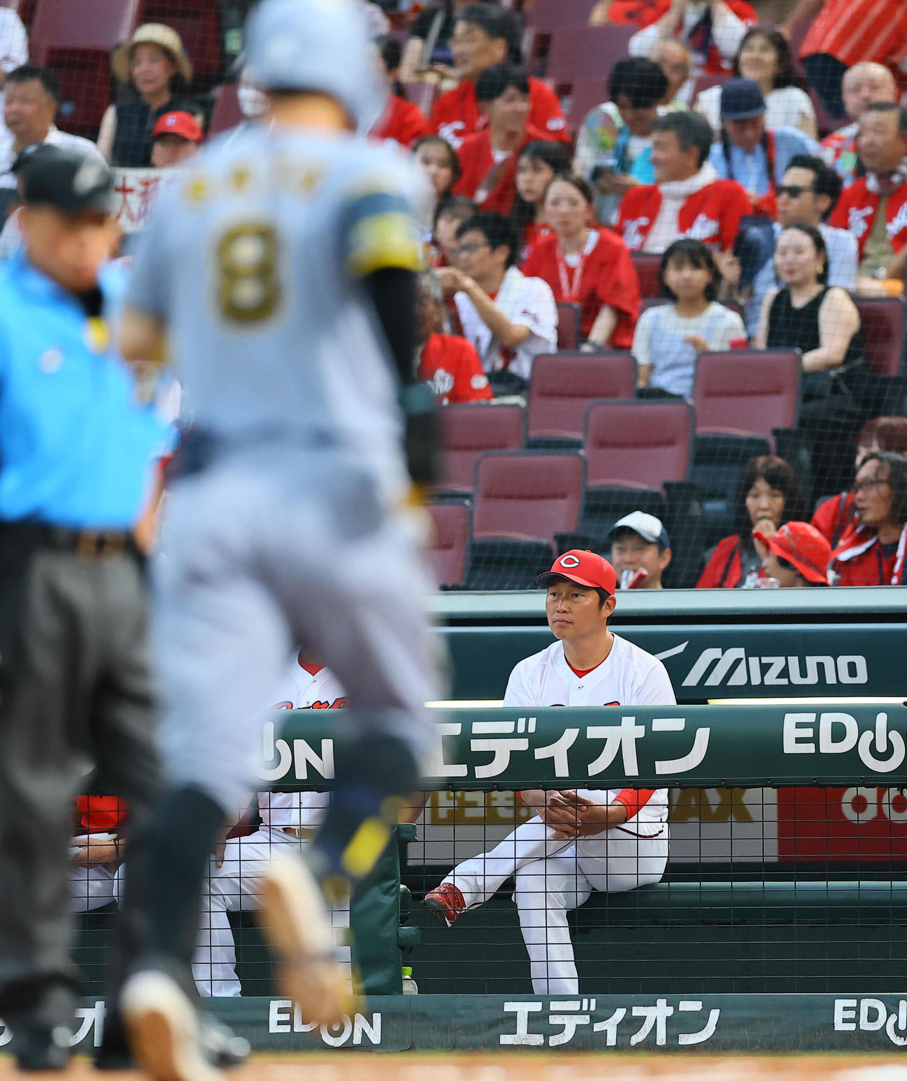 広島対阪神　2回表阪神無死、先制本塁打を放ち生還する佐藤輝（左）とベンチで浮かない表情の新井監督（撮影・藤尾明華）