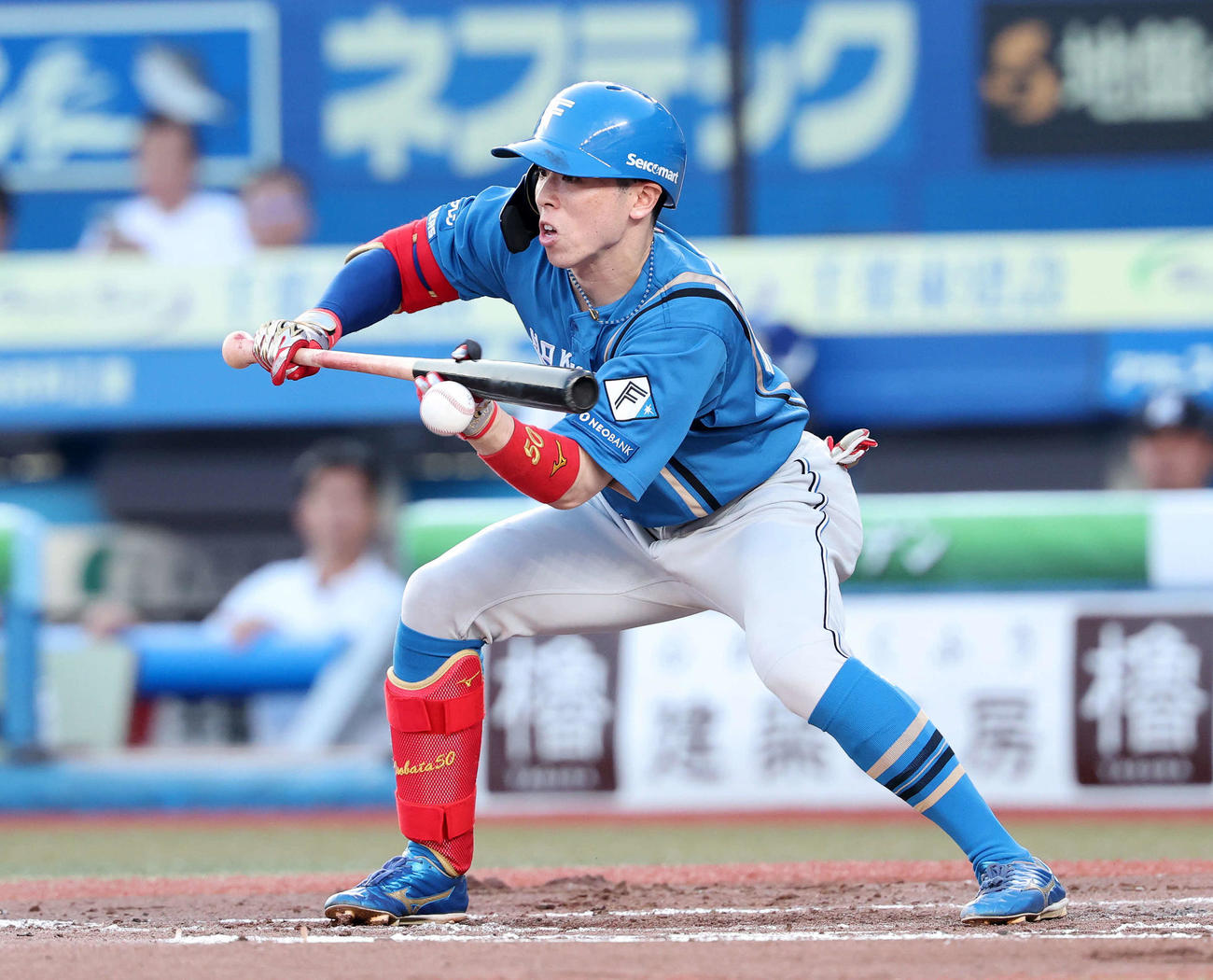 ロッテ対日本ハム　2回表日本ハム1死三塁、五十幡はスクイズを決める（撮影・鈴木正人）
