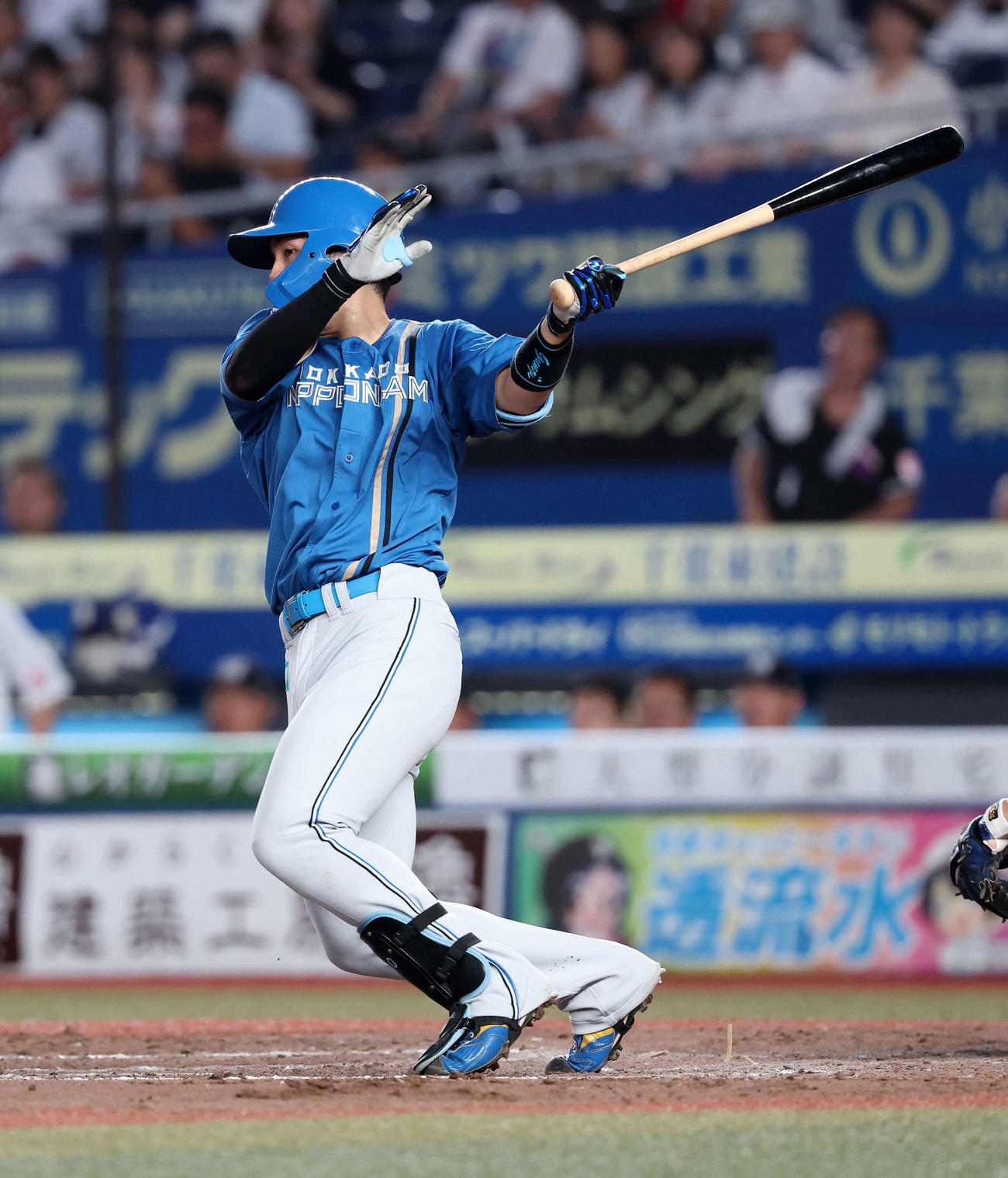 ロッテ対日本ハム　5回表日本ハム無死一塁、郡司は三内野安打を放つ（撮影・鈴木正人）