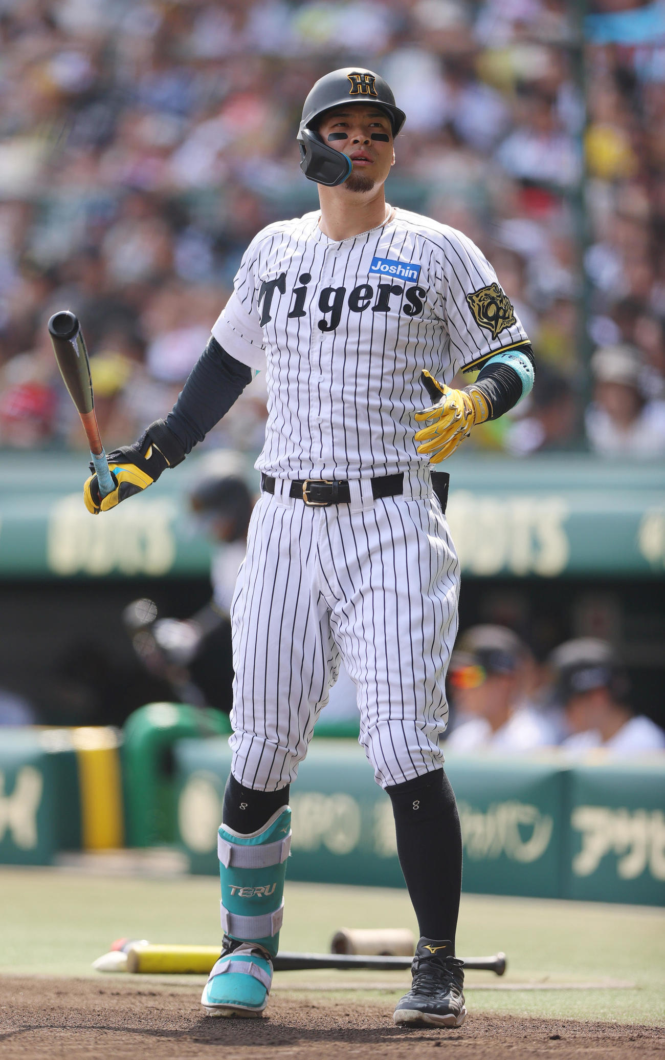 阪神佐藤輝明（2025年6月22日撮影）