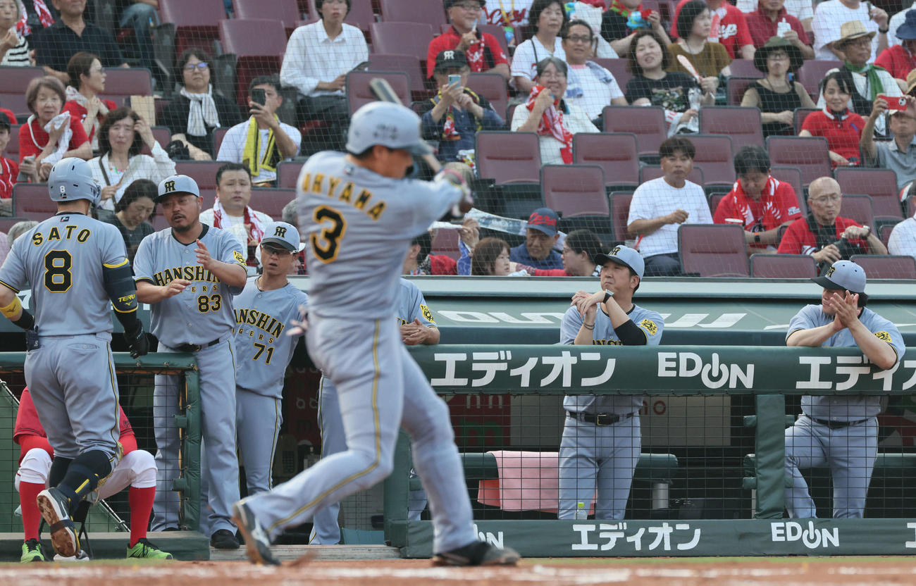 広島対阪神　2回表阪神無死、先制右越え本塁打を放った佐藤輝を迎える藤川監督（右から2人目）ら（撮影・加藤孝規）