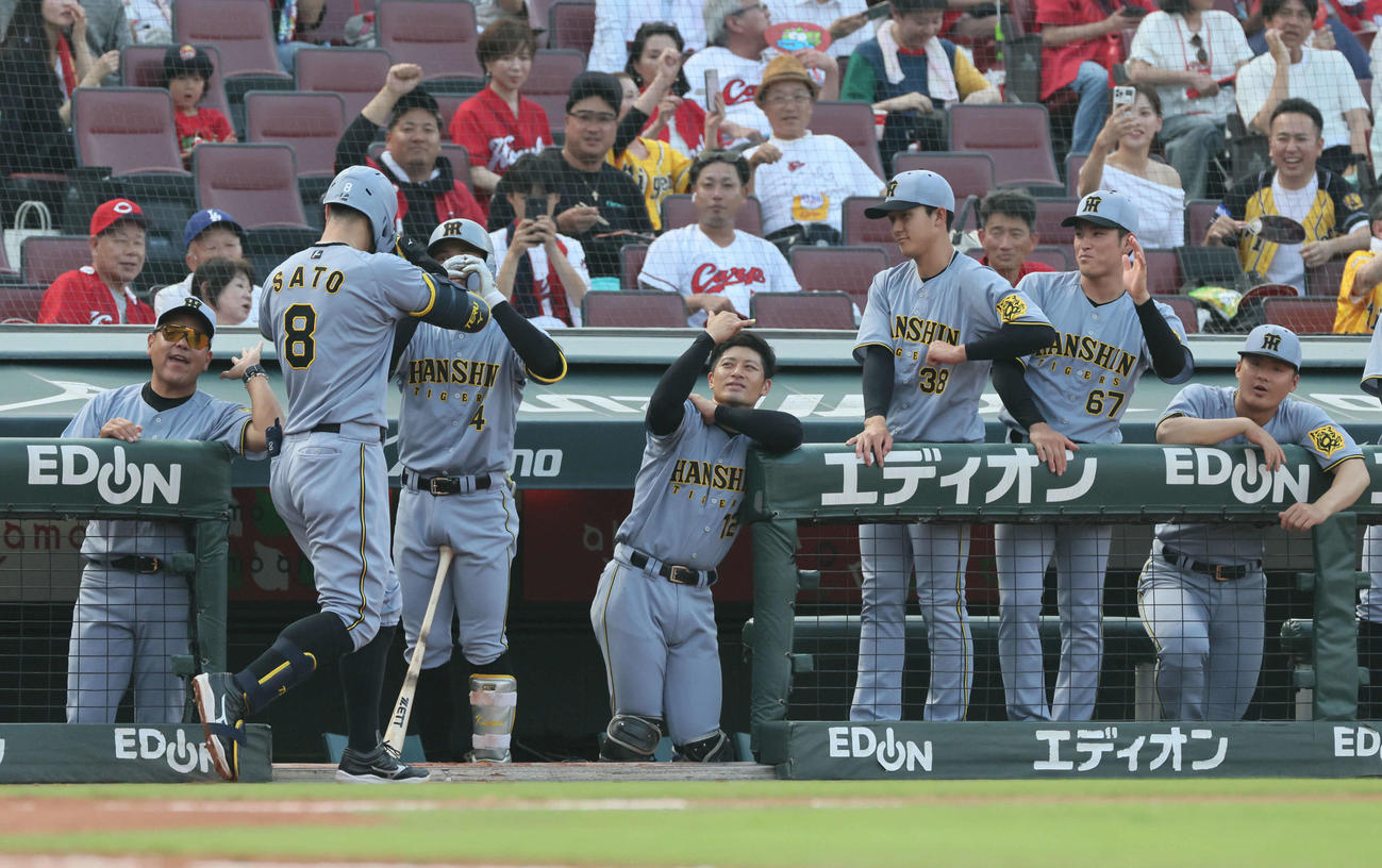 広島対阪神　2回表阪神無死、先制右越え本塁打を放った佐藤輝を迎えるチームメート（撮影・加藤孝規）