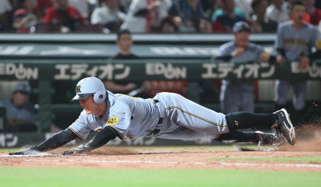 広島対阪神　7回表阪神1死二、三塁、代打の糸原の中犠飛で豊田が生還（撮影・加藤孝規）