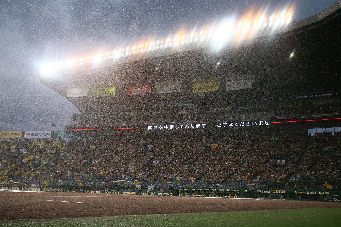 阪神対ヤクルト　雨で試合が中断する甲子園球場（撮影・上山淳一）
