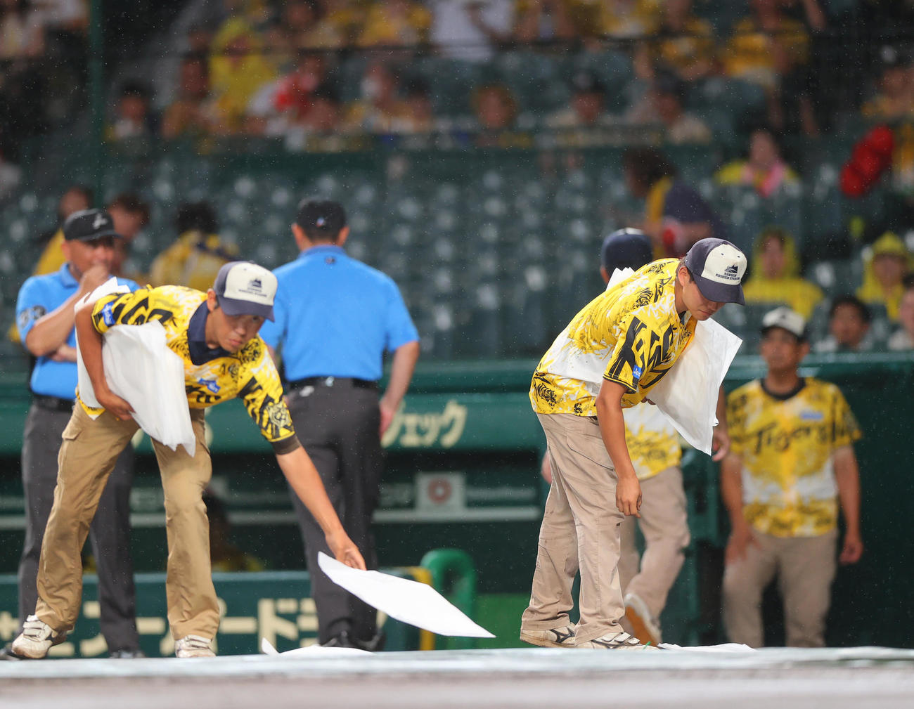 阪神対ヤクルト　雨が弱まりグラウンド整備を行う阪神園芸の職員たち（撮影・上山淳一）