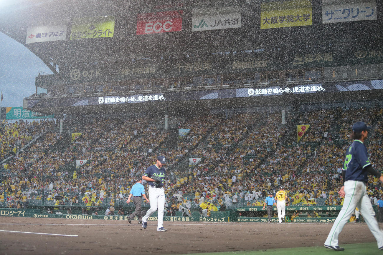 阪神対ヤクルト　2回裏、雨が強くなり中段となりベンチに引き上げるヤクルト先発ランバート（撮影・上山淳一）
