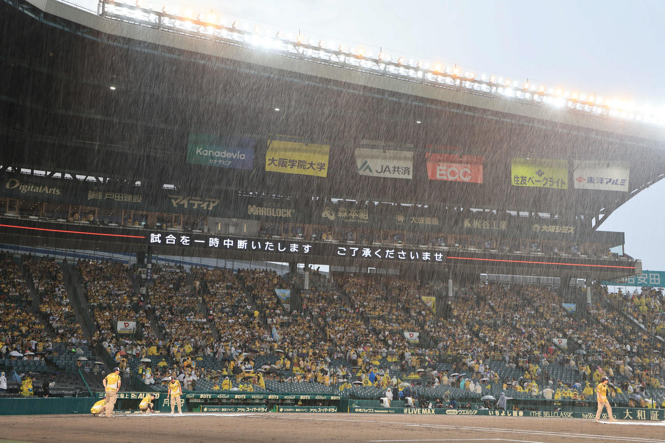 阪神対ヤクルト　2回裏阪神無死、突然の大雨で中断となる（撮影・宮崎幸一)