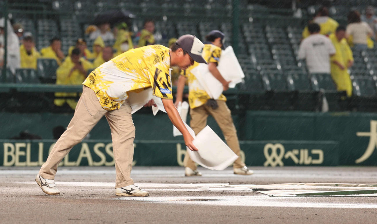 阪神対ヤクルト　2回裏阪神無死、グラウンド修復にとりかかる阪神園芸（撮影・宮崎幸一)