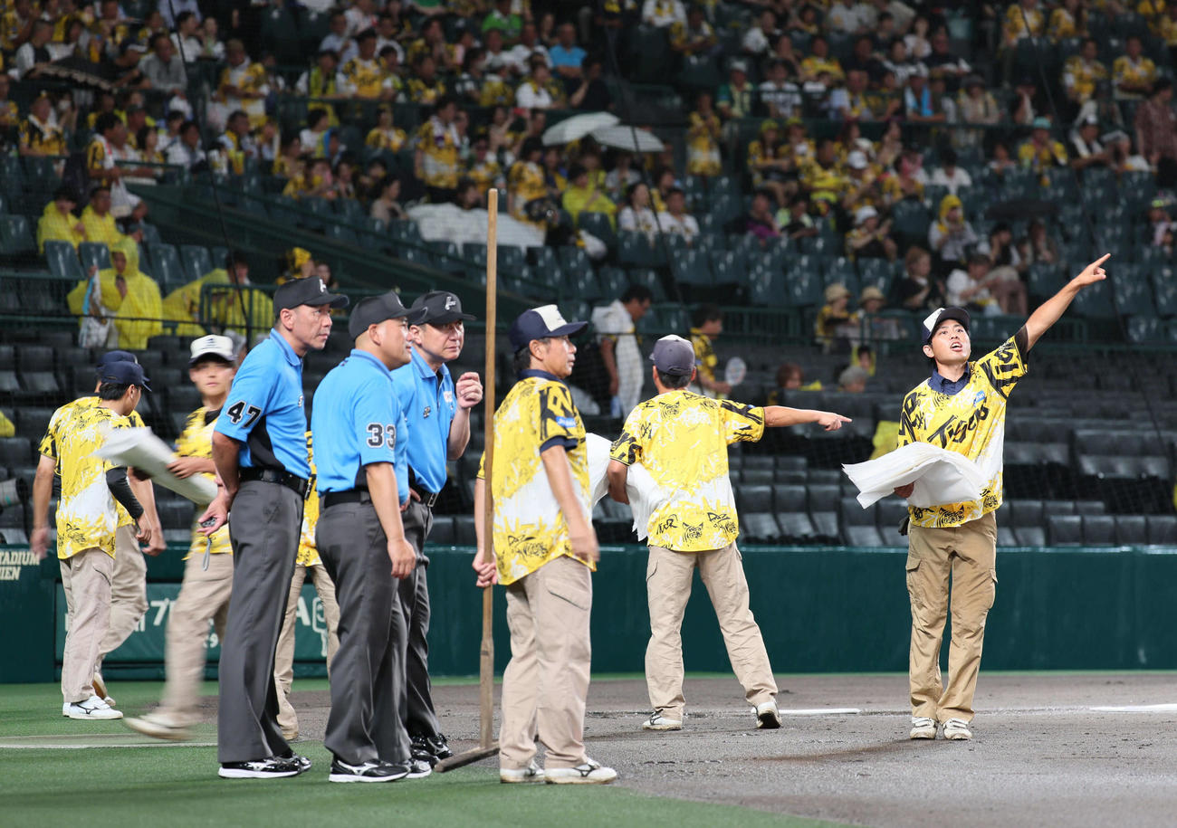 阪神対ヤクルト　2回裏阪神無死、グラウンド修復にとりかかる阪神園芸（撮影・宮崎幸一)