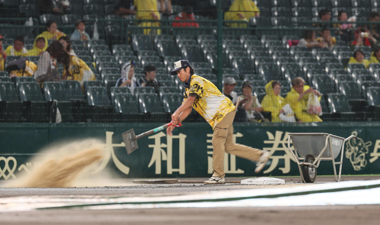阪神対ヤクルト　2回裏阪神無死、グラウンド修復にとりかかる阪神園芸（撮影・宮崎幸一)