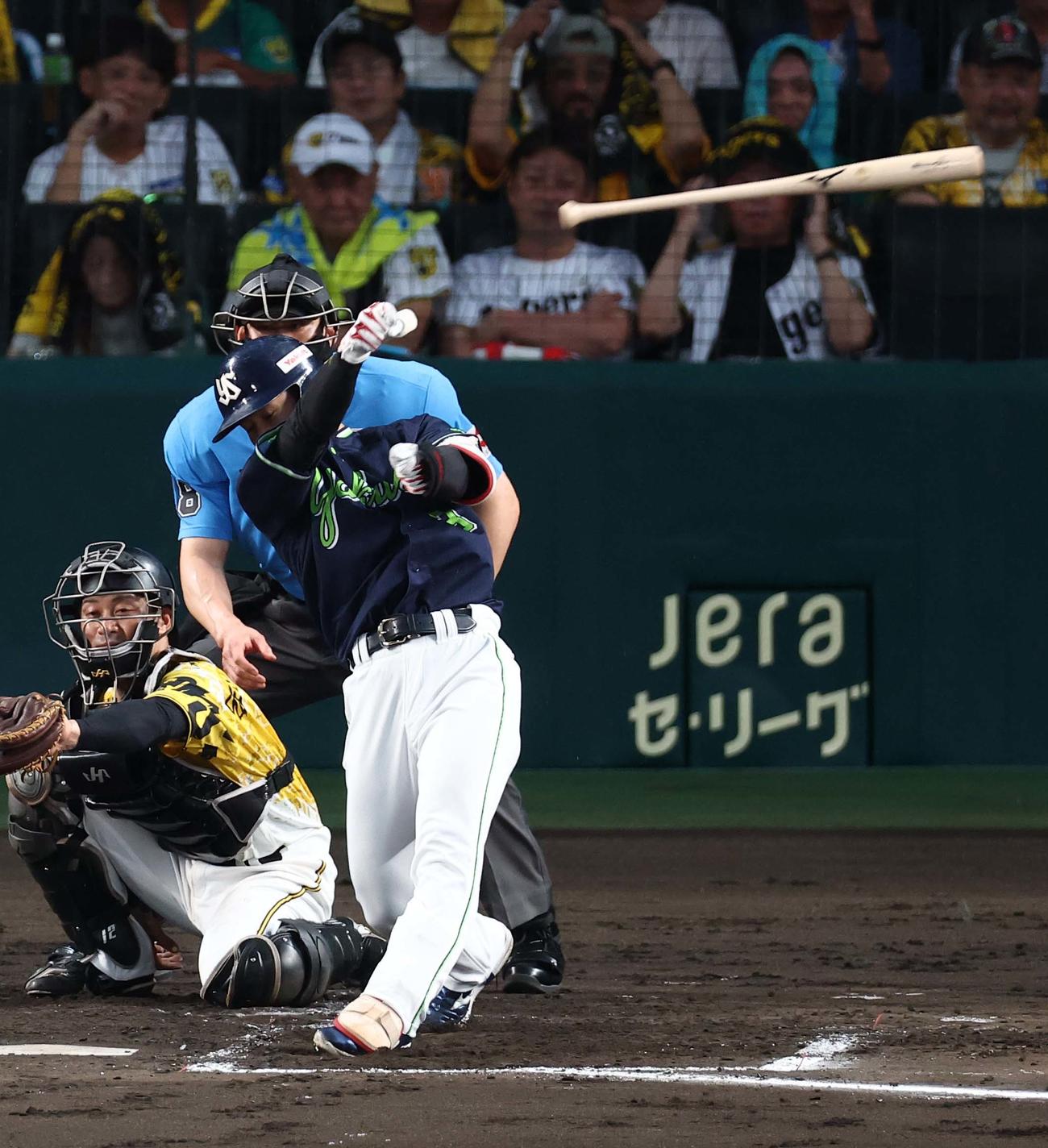 阪神対ヤクルト　2回表ヤクルト2死満塁、内山は手を滑らせバットを投げる（撮影・上田博志）