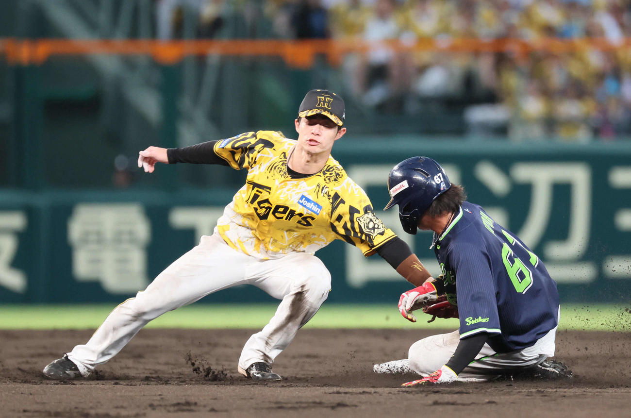 阪神対ヤクルト　2回表ヤクルト1死、中野は二盗を試みた伊藤をタッチアウト（撮影・宮崎幸一)