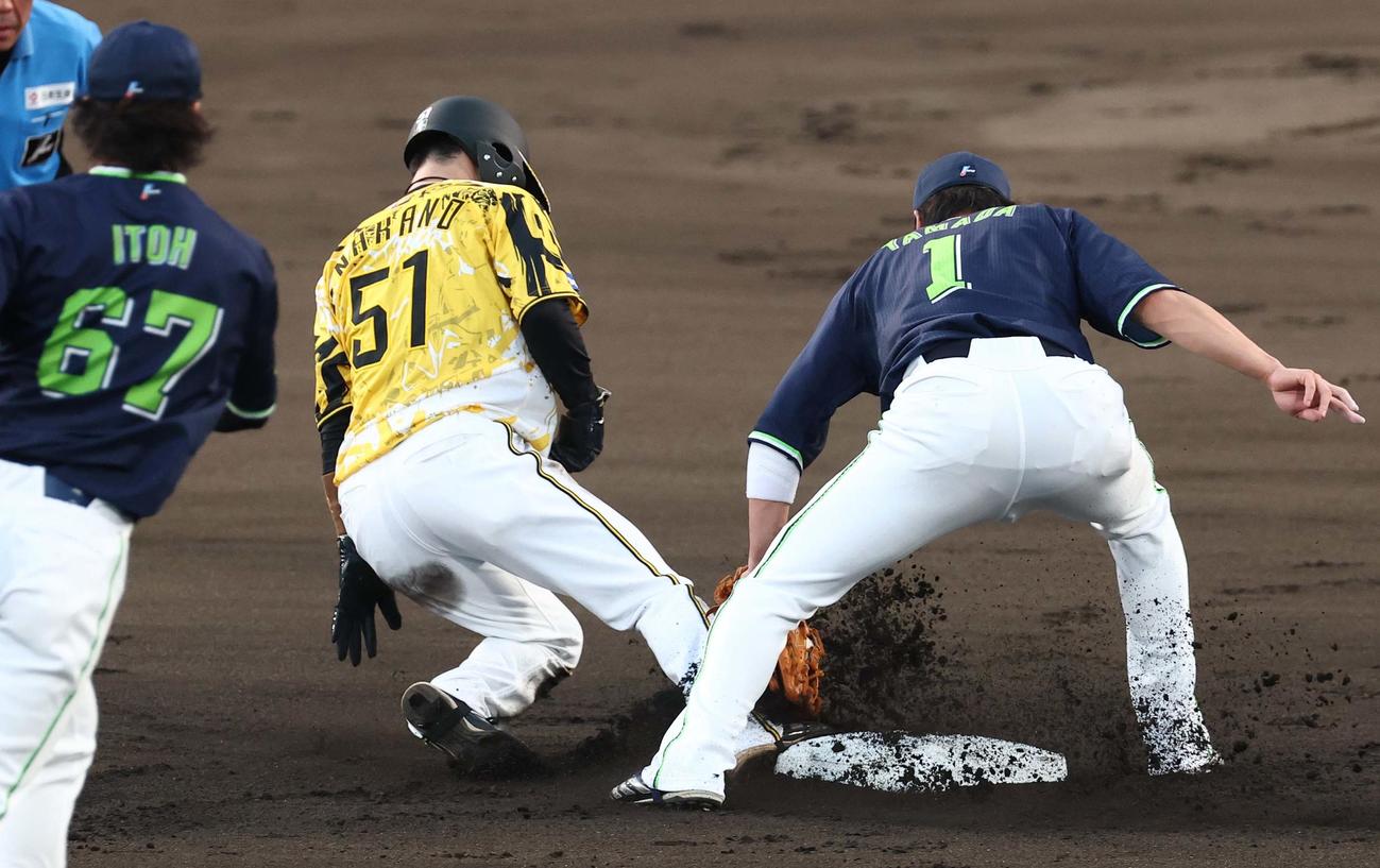 阪神対ヤクルト　1回裏阪神1死一塁、ランバートの暴投で二塁へ進む中野拓夢（撮影・上田博志）