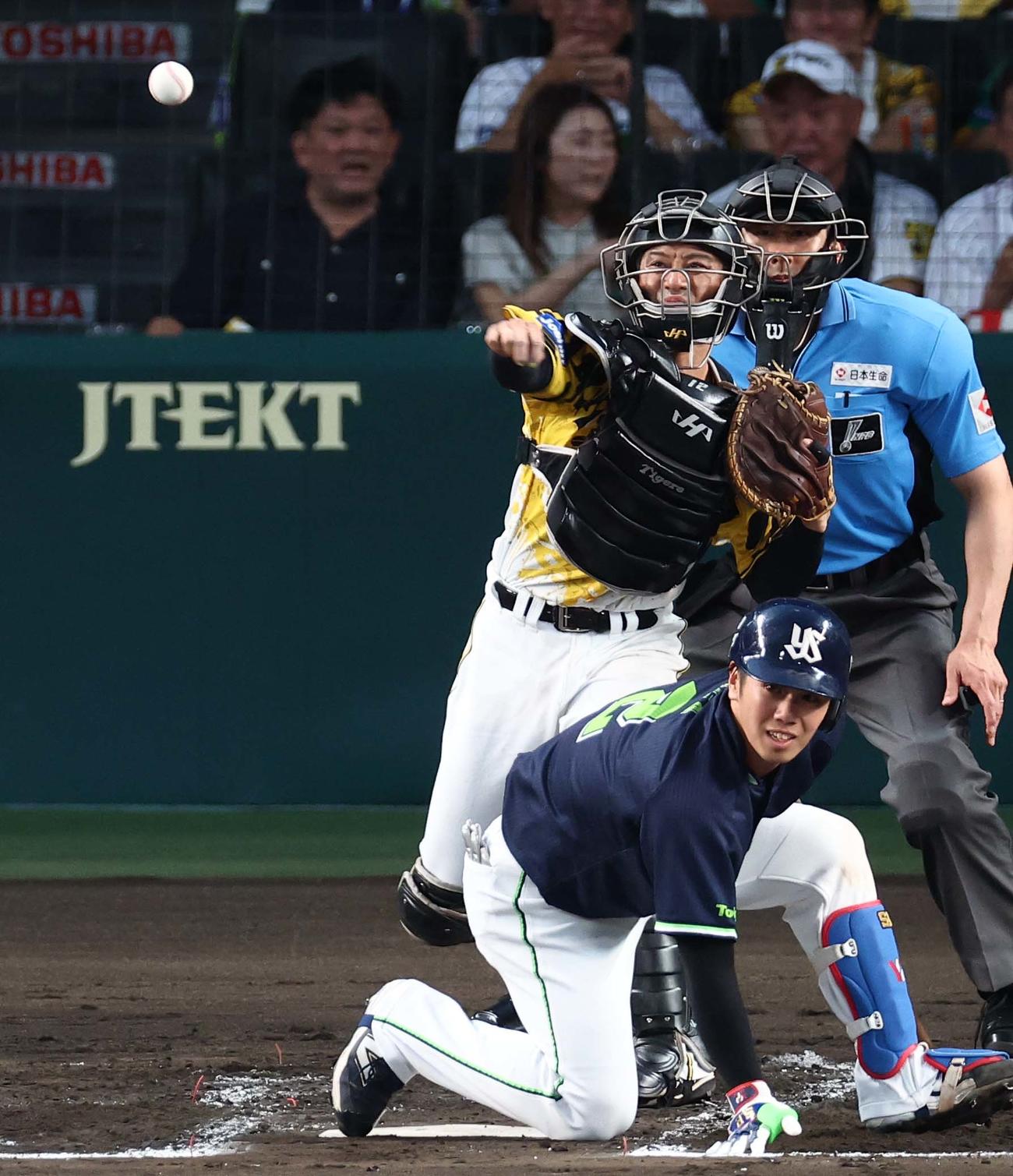 阪神対ヤクルト　2回表ヤクルト1死一塁、坂本は伊藤の二盗を阻止する（撮影・上田博志）