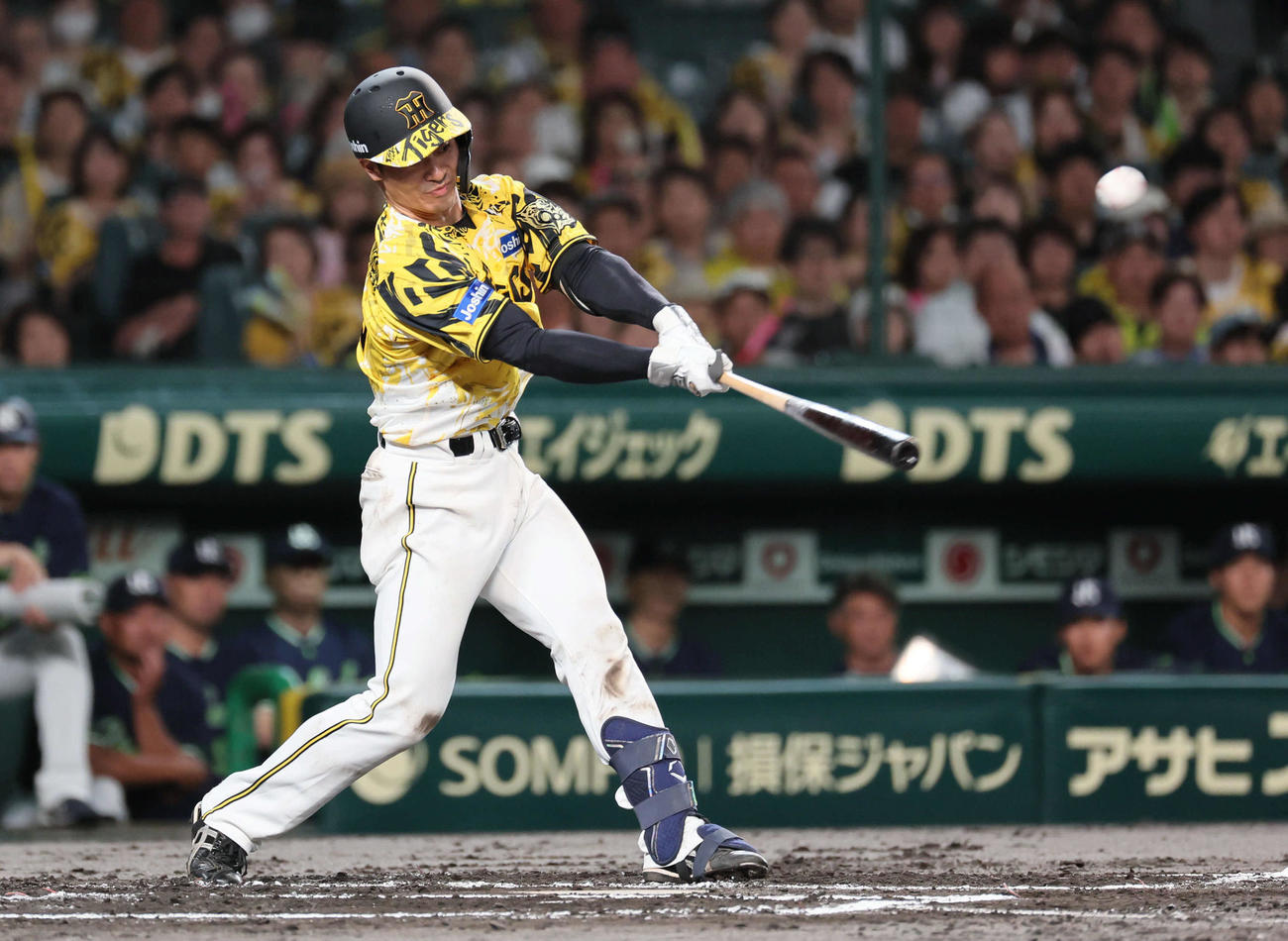 阪神対ヤクルト　3回裏阪神無死、坂本は右前打を放つ（撮影・宮崎幸一)
