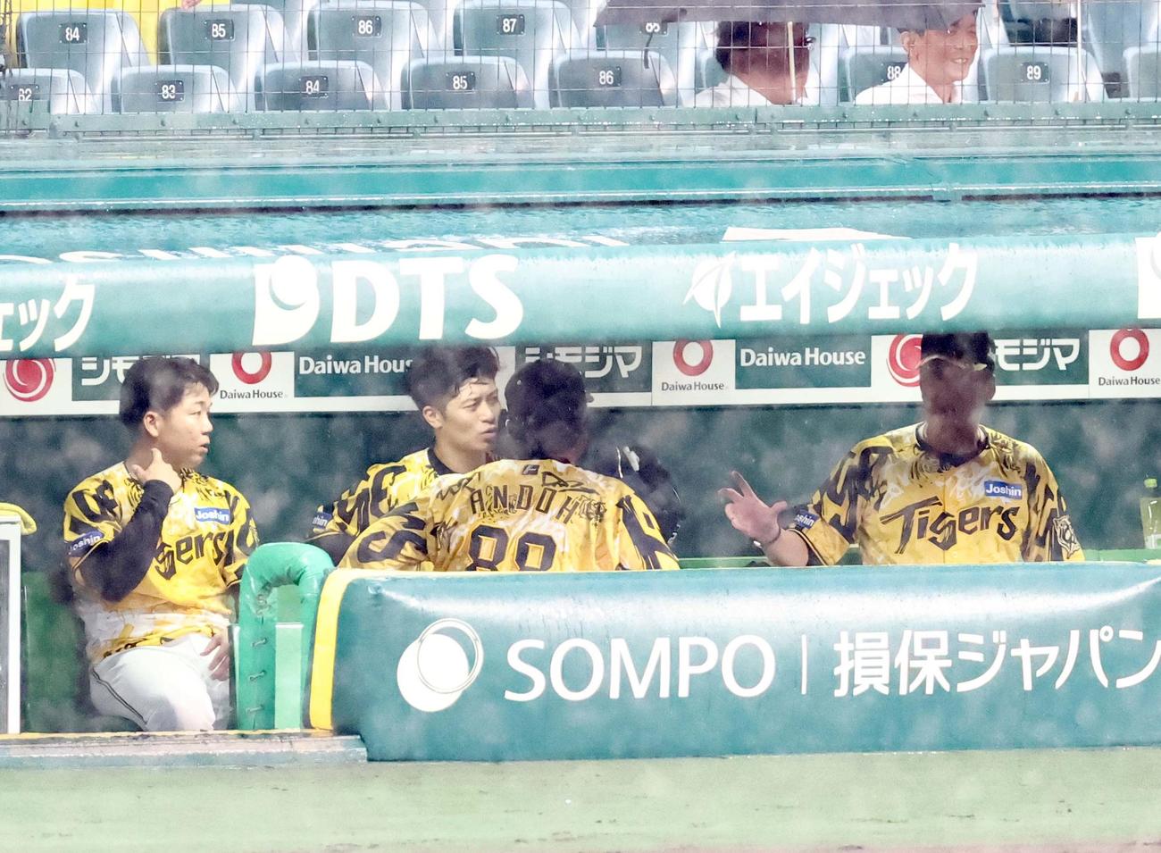 阪神対ヤクルト　中断中に村上（左）に話をする藤川監督（右）は手首をクルクルと回す（撮影・上田博志）