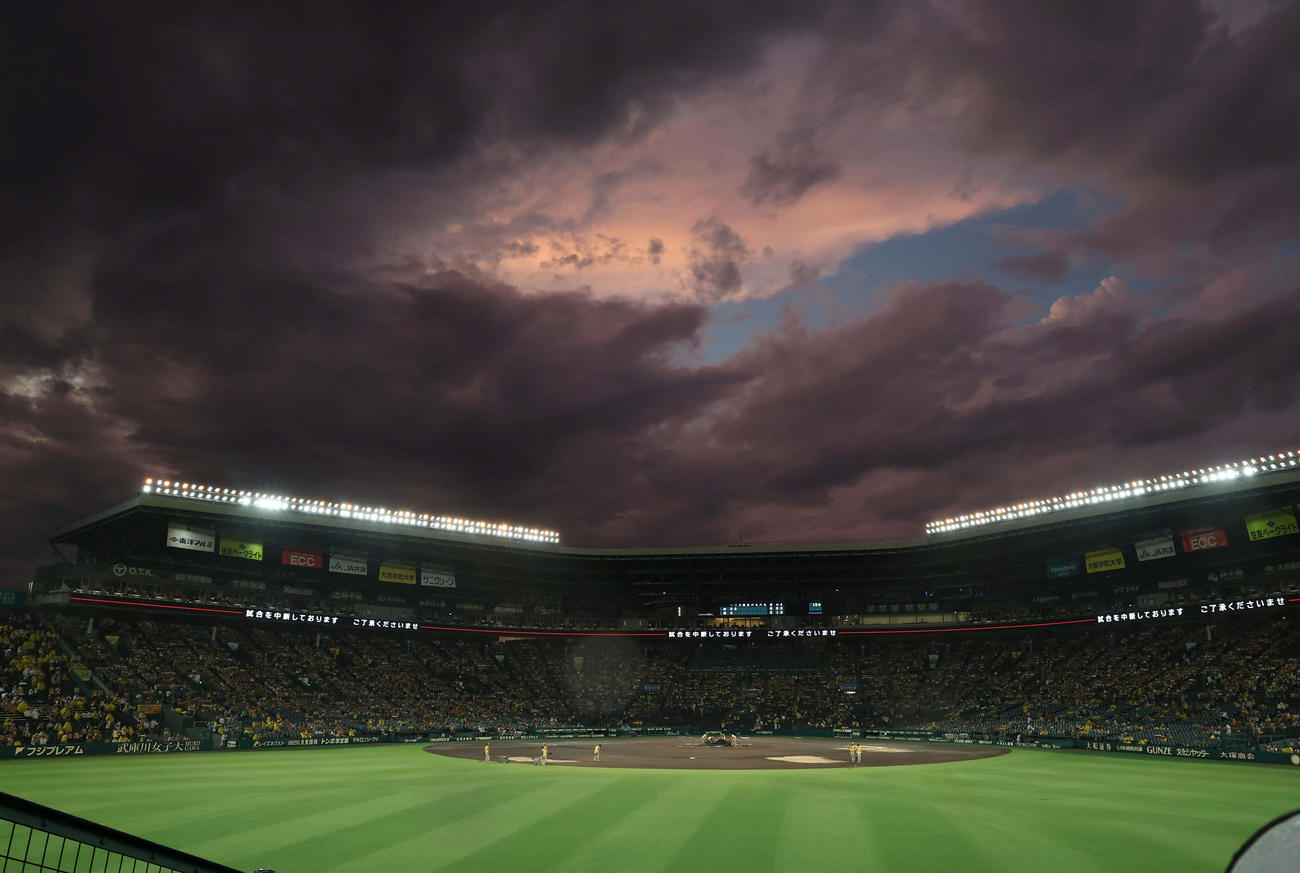 阪神対ヤクルト　甲子園の試合は雨により中断する（撮影・上田博志）