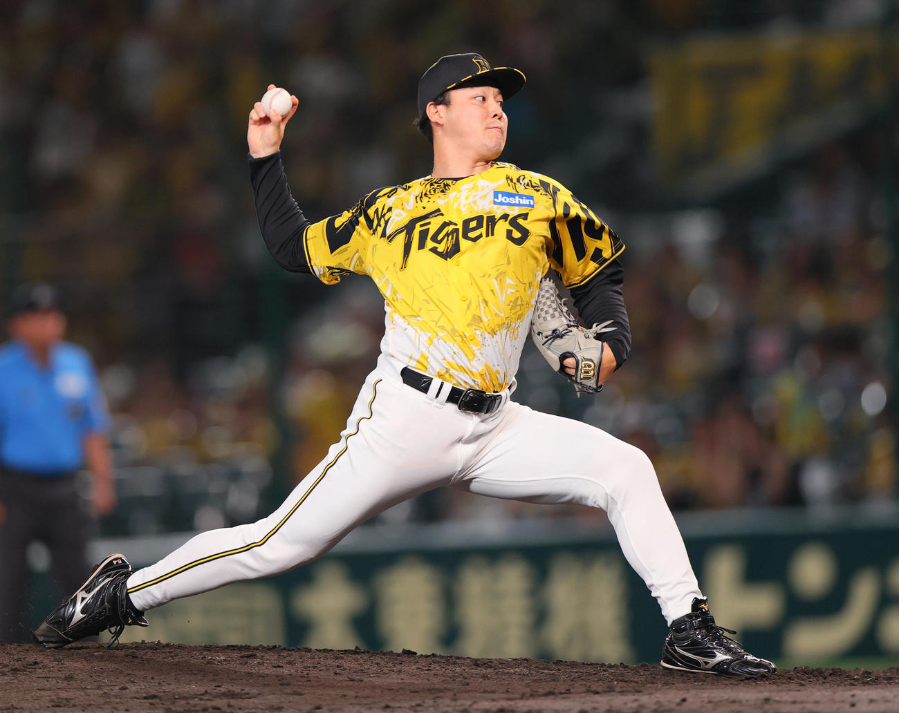 阪神対ヤクルト　5回表に登板する木下（撮影・上山淳一）