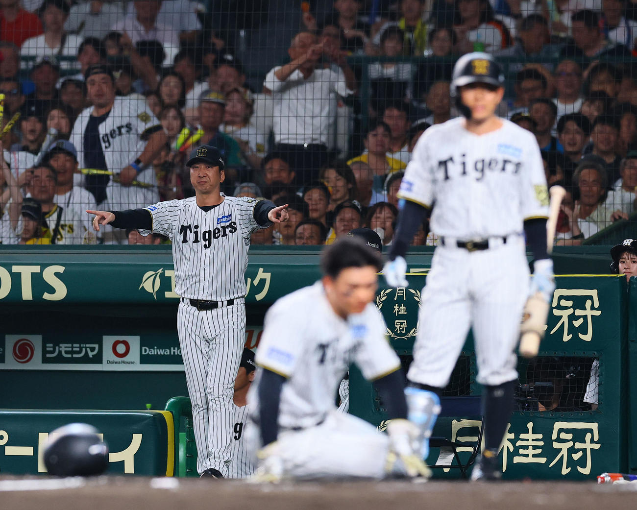 25年7月2日　阪神対巨人　8回裏阪神2死一、二塁、大山の遊撃適時内野安打で生還する森下。アウトの判定にリクエストする藤川監督（撮影・藤尾明華）