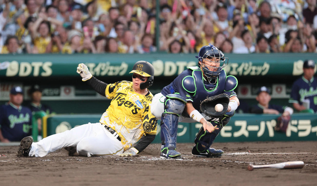 阪神対ヤクルト　4回裏阪神無死満塁、森下は大山の右前同点2点適時打で生還する（撮影・宮崎幸一)