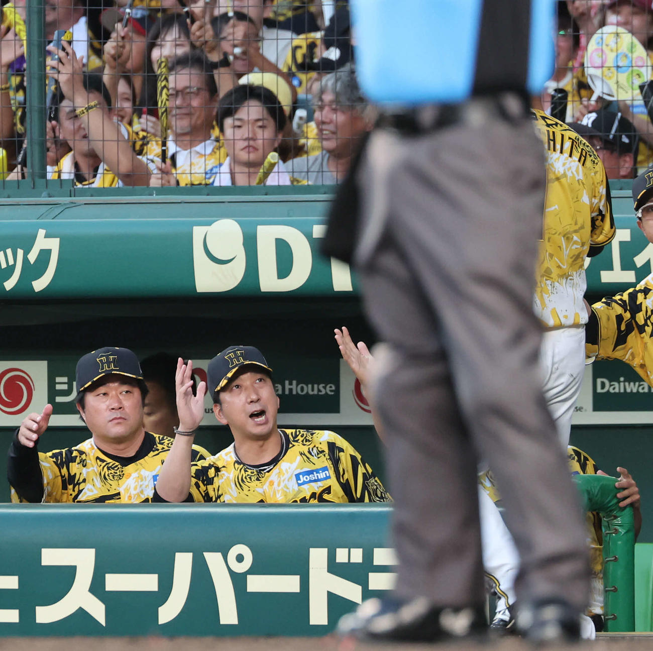 阪神対ヤクルト　4回裏阪神無死満塁、大山の適時打で生還した森下をベンチで迎える藤川監督（撮影・西尾就之）