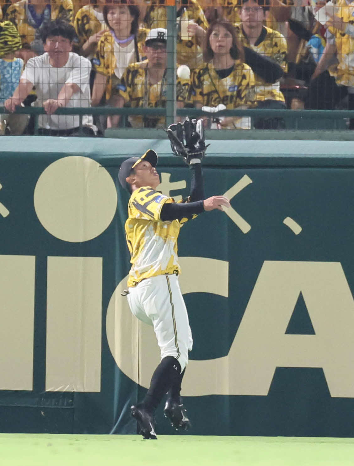 阪神対ヤクルト　7回表ヤクルト1死、島田は澤井廉の左飛を好捕する（撮影・宮崎幸一)