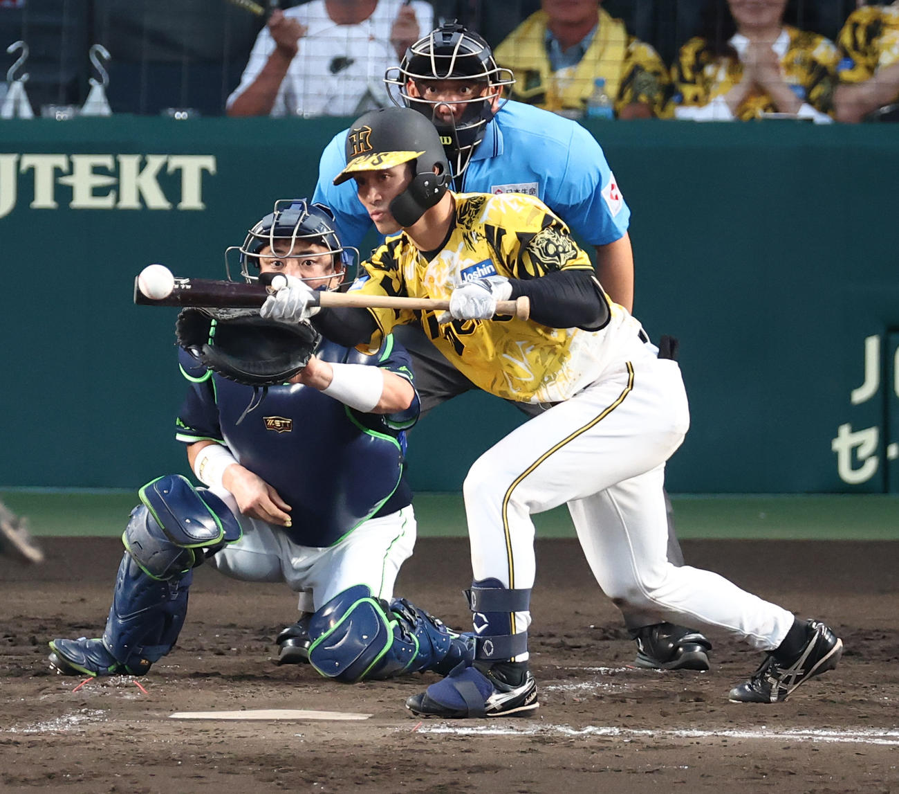 阪神対ヤクルト　4回裏阪神無死一、二塁、坂本は送りバントを決める（撮影・上田博志）