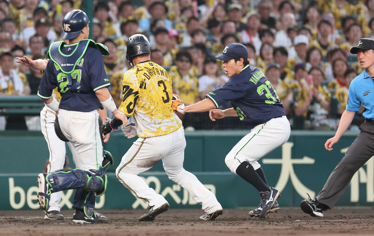阪神対ヤクルト　4回裏阪神1死二、三塁、豊田の遊ゴロで三本間で挟殺される大山（撮影・宮崎幸一)