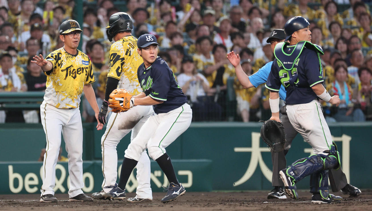 阪神対ヤクルト　4回裏阪神1死二、三塁、豊田の遊ゴロで大山を三本間で挟殺した山野辺（中央）は二進を狙った豊田を刺す（撮影・宮崎幸一)
