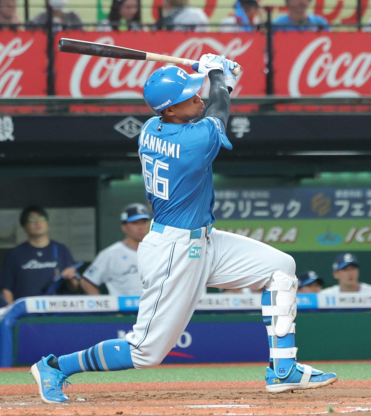 日本ハム万波中正（2025年6月撮影）