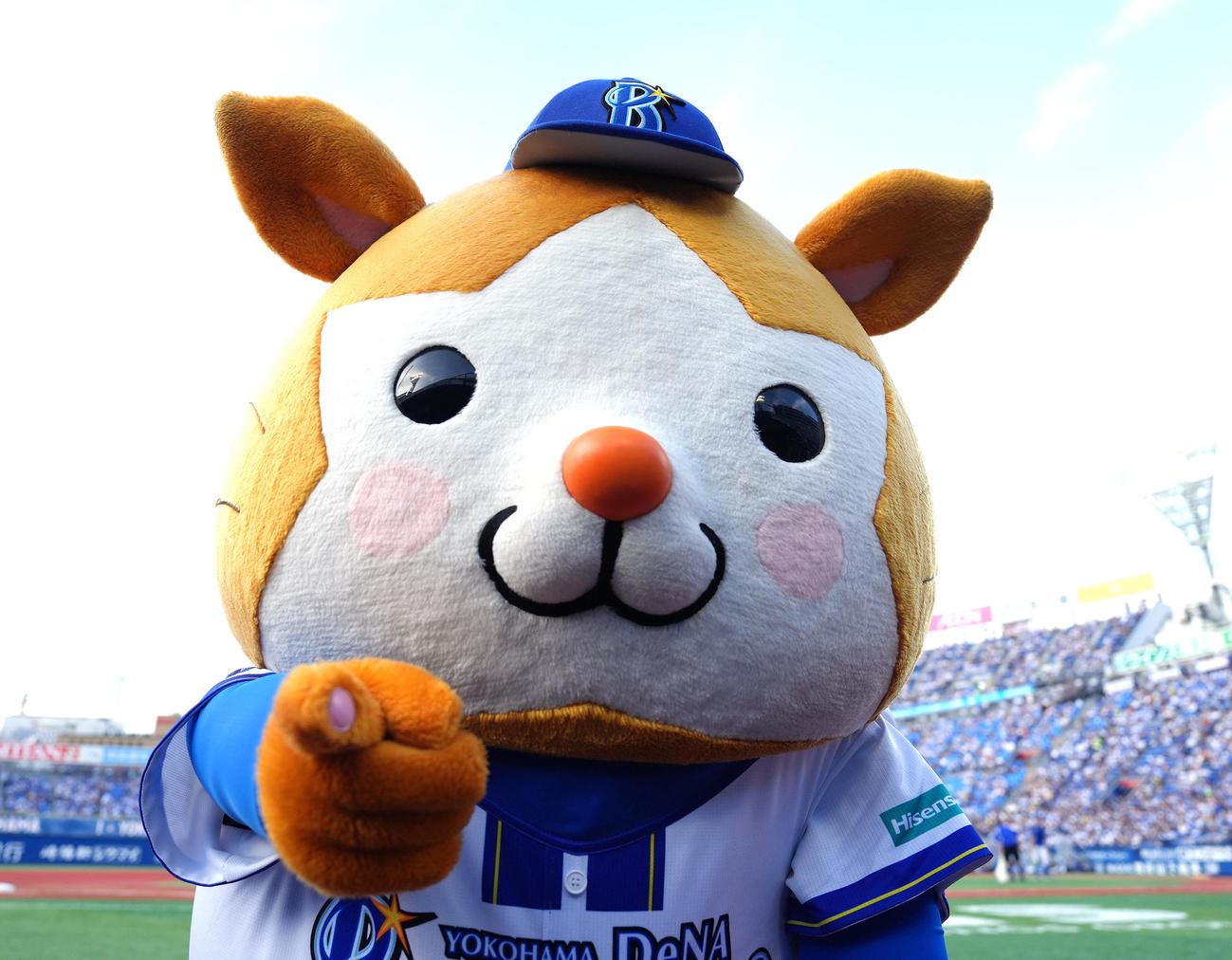 DeNA対巨人　カメラに視線を送るDB.スターマン（撮影・足立雅史）