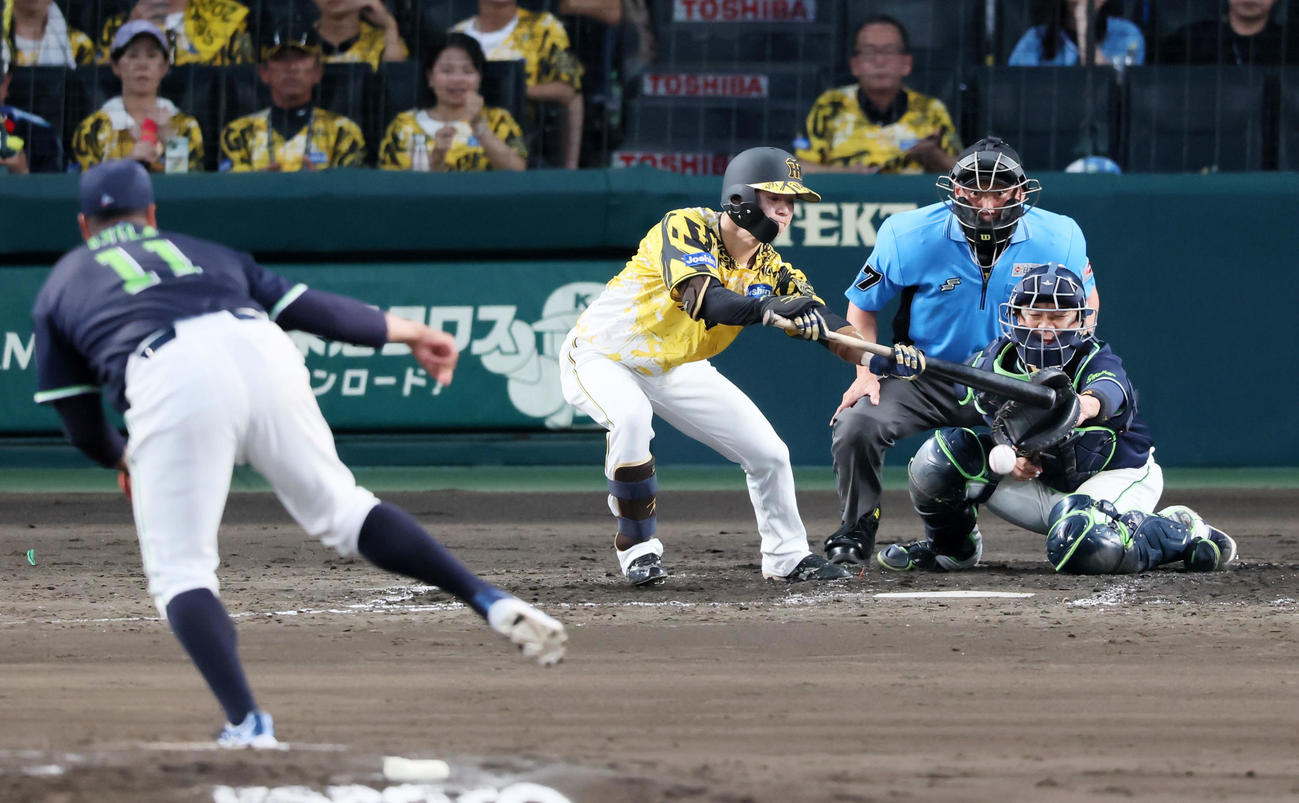 阪神対ヤクルト　4回裏阪神無死一塁、中野はバントを決める。投手アビラ（撮影・加藤哉）
