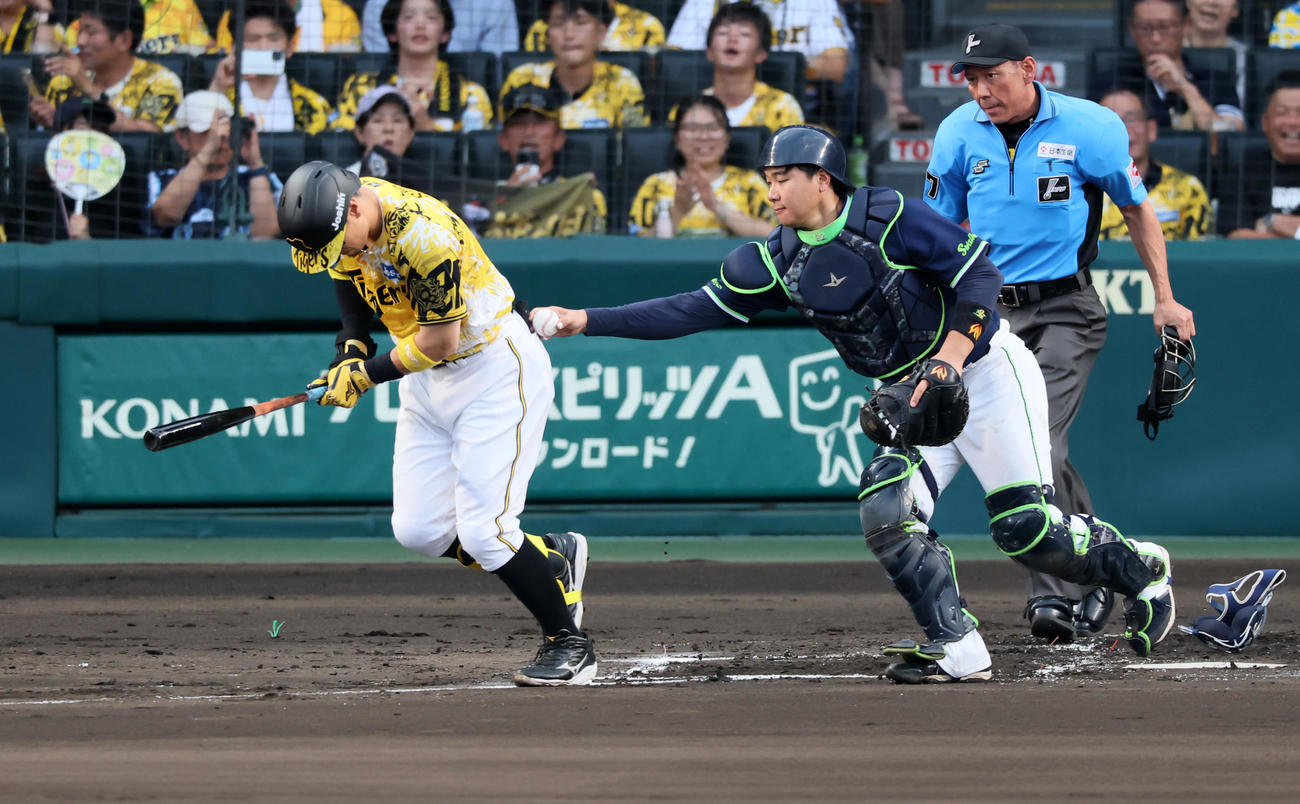 阪神対ヤクルト　2回裏阪神無死、三振する佐藤輝。捕手内山（撮影・加藤哉）