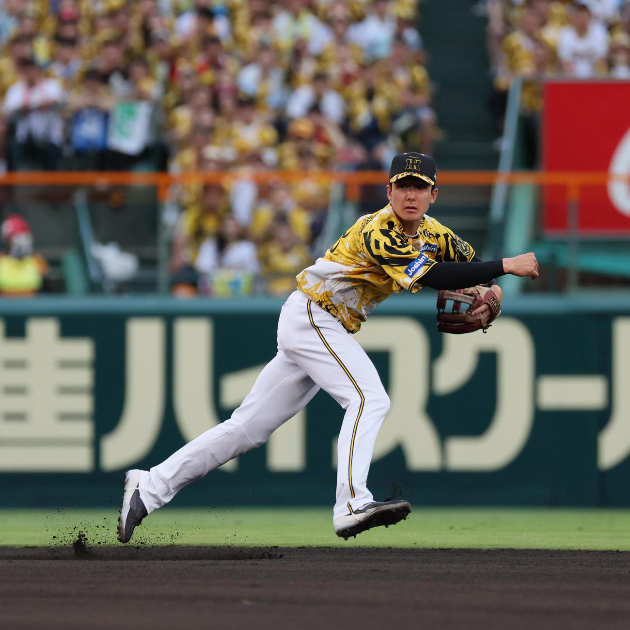 阪神対ヤクルト　1回表ヤクルト2死、小幡は内山の二遊間への打球で好守を見せ、遊ゴロとする（撮影・宮崎幸一)