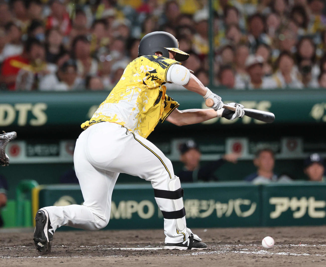 阪神対ヤクルト　5回裏阪神1死一、三塁、伊藤将はスクイズを試みるが失敗する（撮影・宮崎幸一)