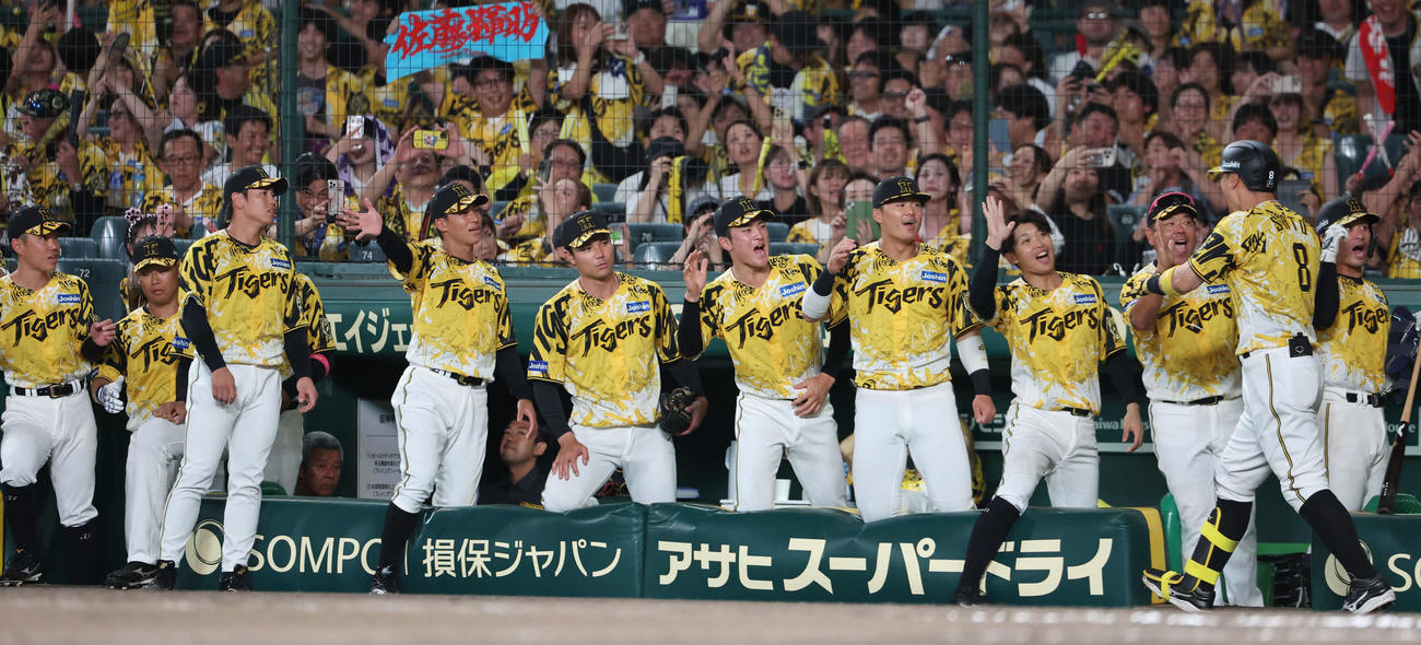 阪神対ヤクルト　6回裏阪神無死二塁、佐藤輝（右）が2点本塁打を放ち、ベンチで迎える阪神ナイン（撮影・西尾就之）