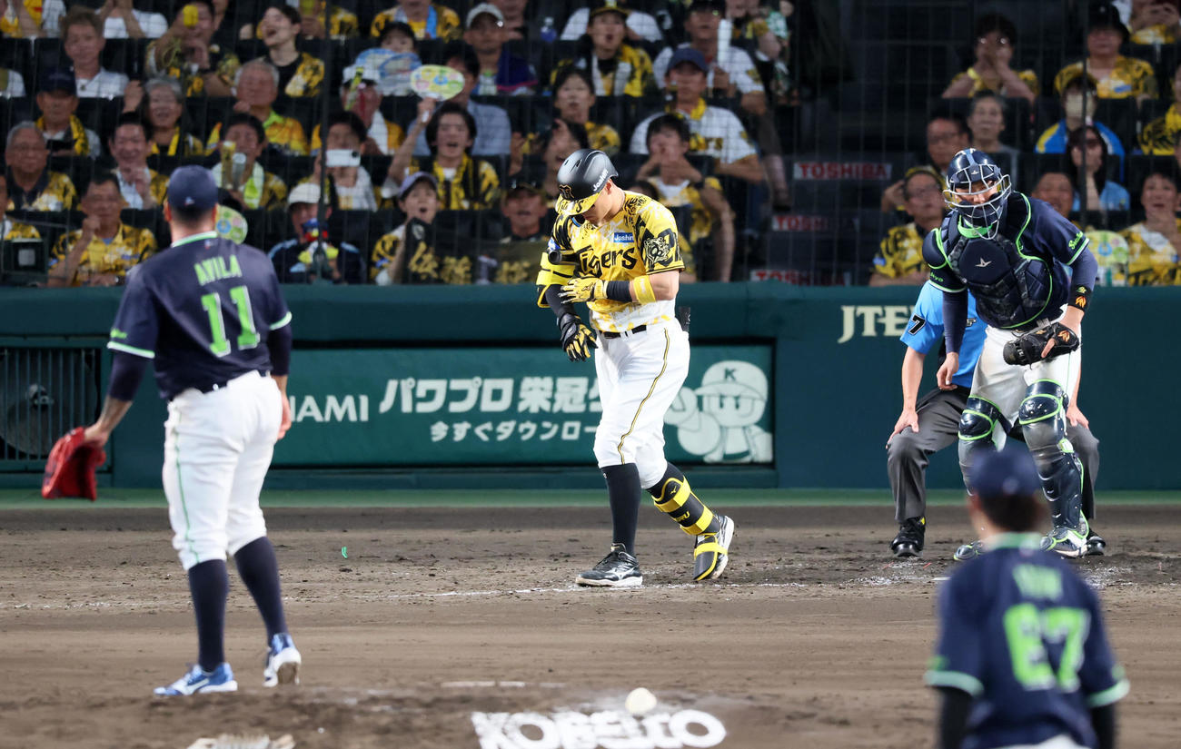 阪神対ヤクルト　4回裏阪神1死一、二塁、佐藤輝は四球を選ぶ。投手アビラ（撮影・加藤哉）