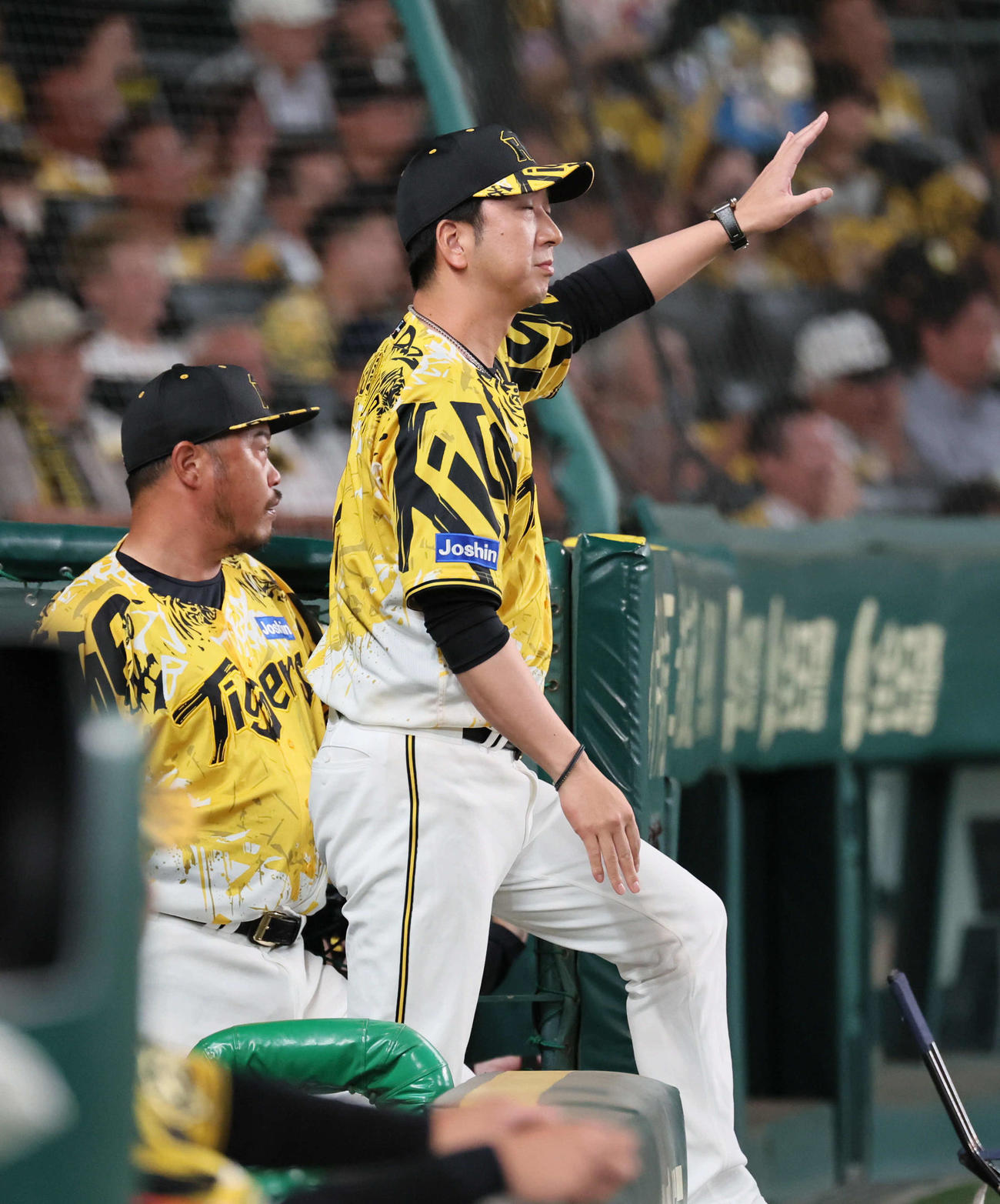 阪神対ヤクルト　5回裏阪神1死一、三塁、藤川監督は小幡のアウト判定にリクエストする（撮影・宮崎幸一)