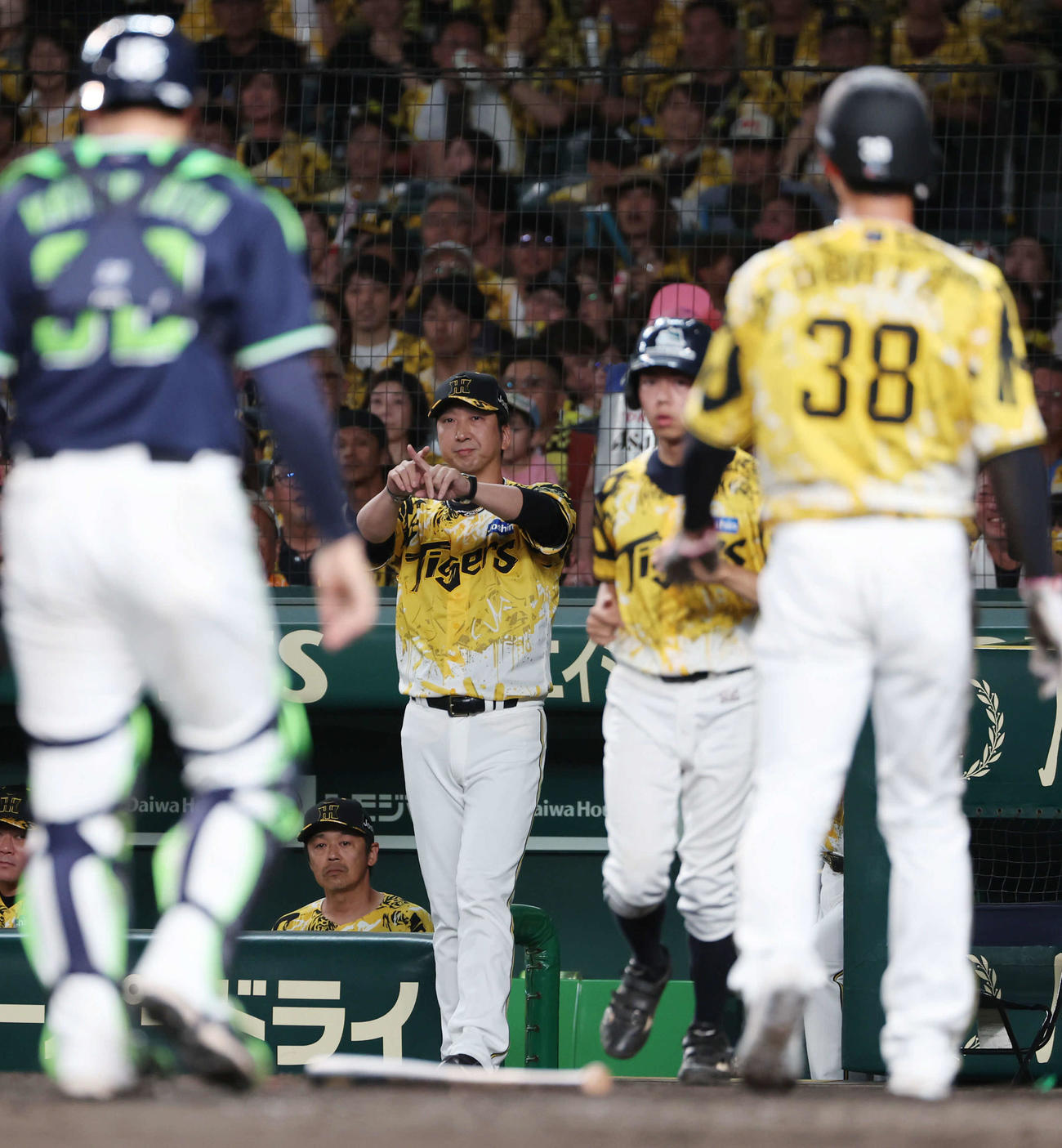 阪神対ヤクルト　5回裏阪神1死一、三塁、伊藤将のスクイズで三走小幡（右）が本塁でアウトとなりリクエストを求める藤川監督（撮影・西尾就之）