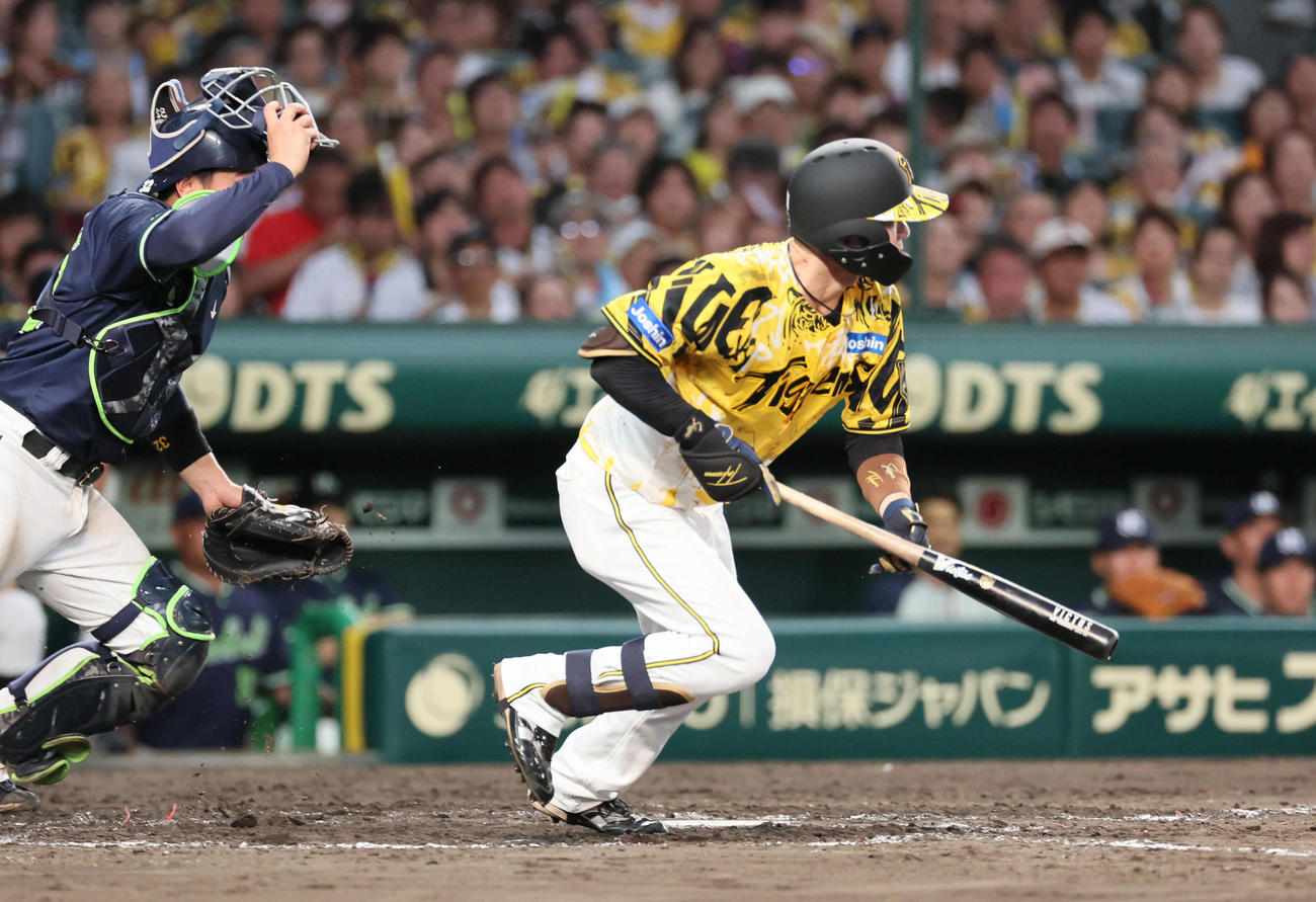 阪神対ヤクルト　4回裏阪神無死一塁、中野は投前バントで出塁する（撮影・宮崎幸一)