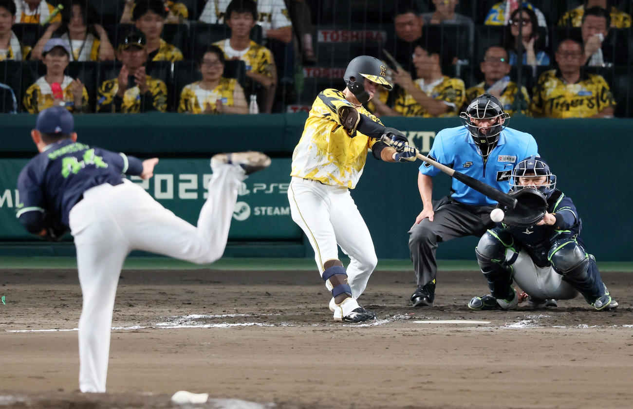 阪神対ヤクルト　8回裏阪神無死、中野は投手への内野安打を放つ。投手大西（撮影・加藤哉）