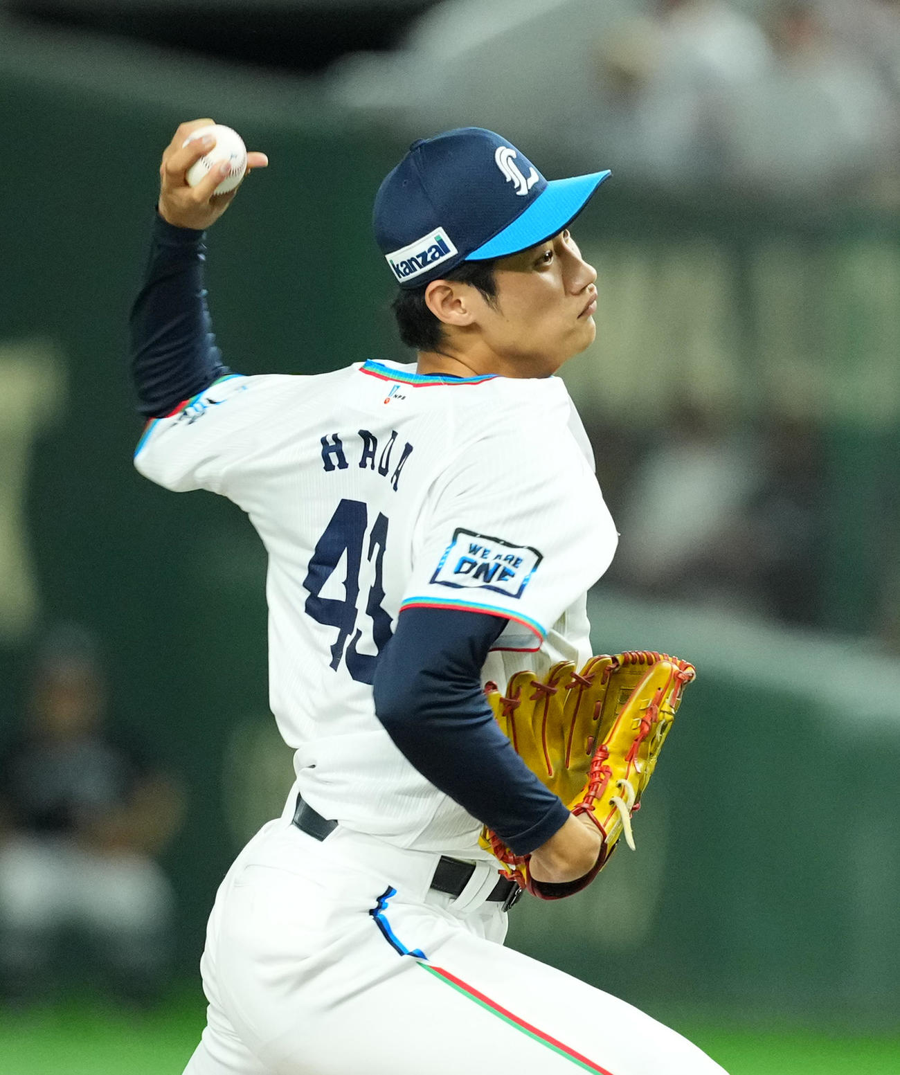 西武対日本ハム　8回、西武2番手の羽田（撮影・菅敏）