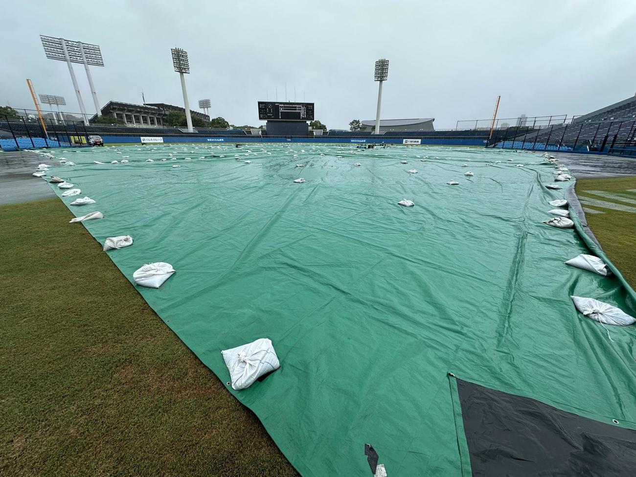 ヤクルト対巨人　降雨の影響で全面シートが張られた草薙球場(撮影・浅見桂子)