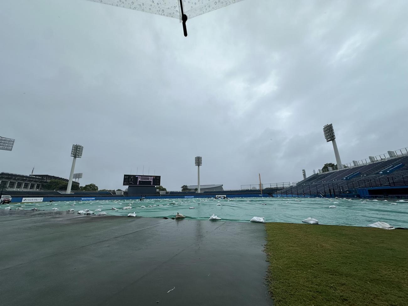 ヤクルト対巨人　降雨の影響で全面シートが張られた草薙球場(撮影・浅見桂子)