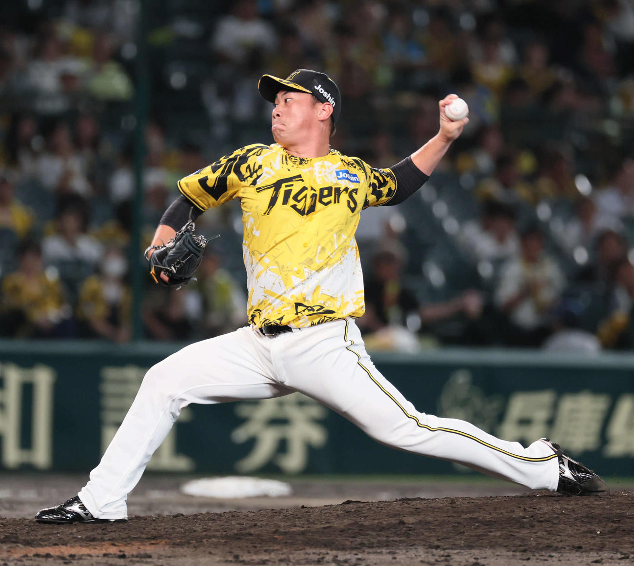 阪神桐敷拓馬（2025年7月11日撮影)