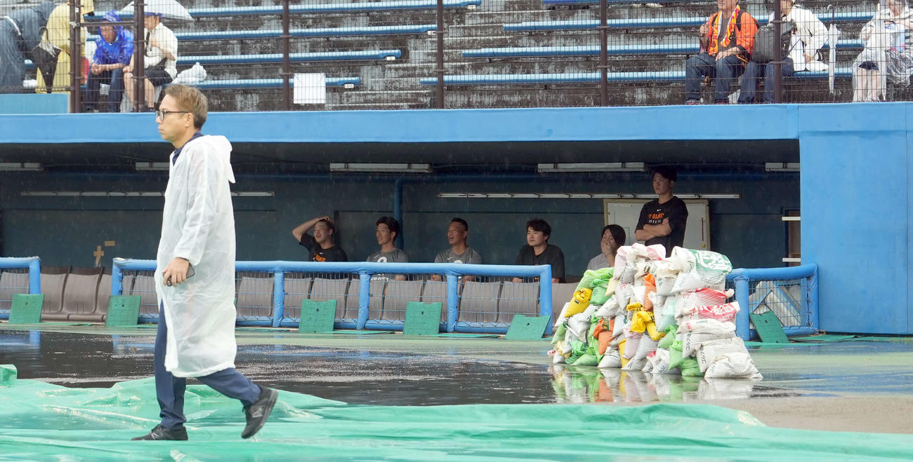 雨が降りしきる中、グラウンドを見つめる巨人坂本勇人（右端）らナインとスタッフ（撮影・たえ見朱実）