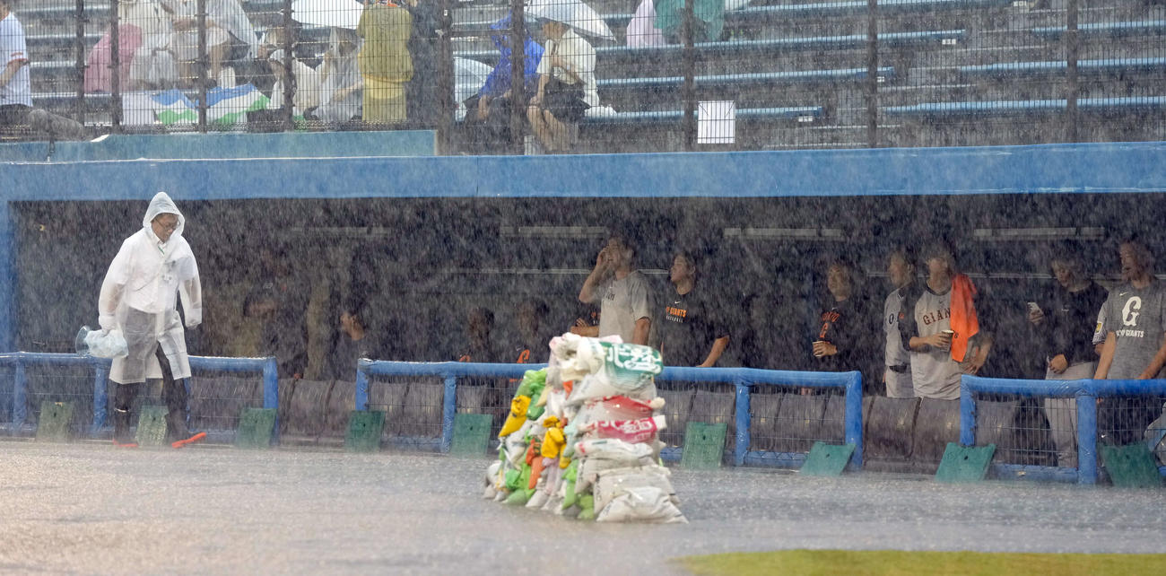 雨が降りしきる中、グラウンドを見つめる巨人の選手たち（撮影・たえ見朱実）