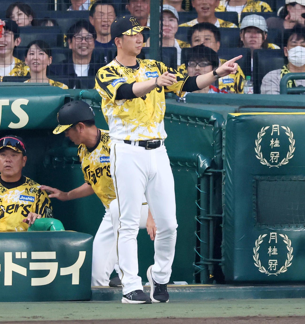 阪神対中日　4回表中日無死一、二塁、藤川監督はボスラーの一塁判定にリクエストする（撮影・加藤哉）